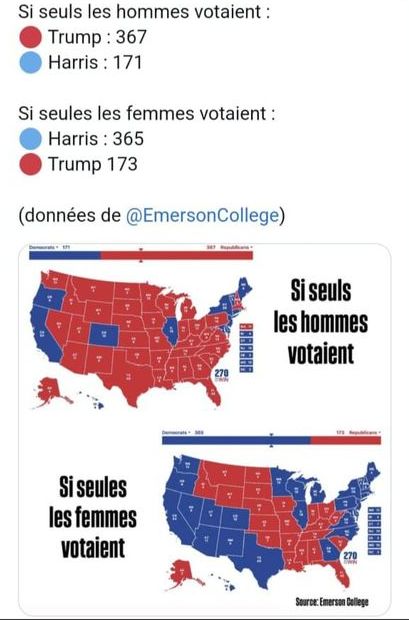 Image des résultats du vote de l'élection présidentielle américaine de novembre 2024 par sexe.