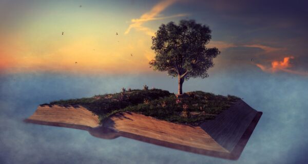 Photo representing a book with a tree.